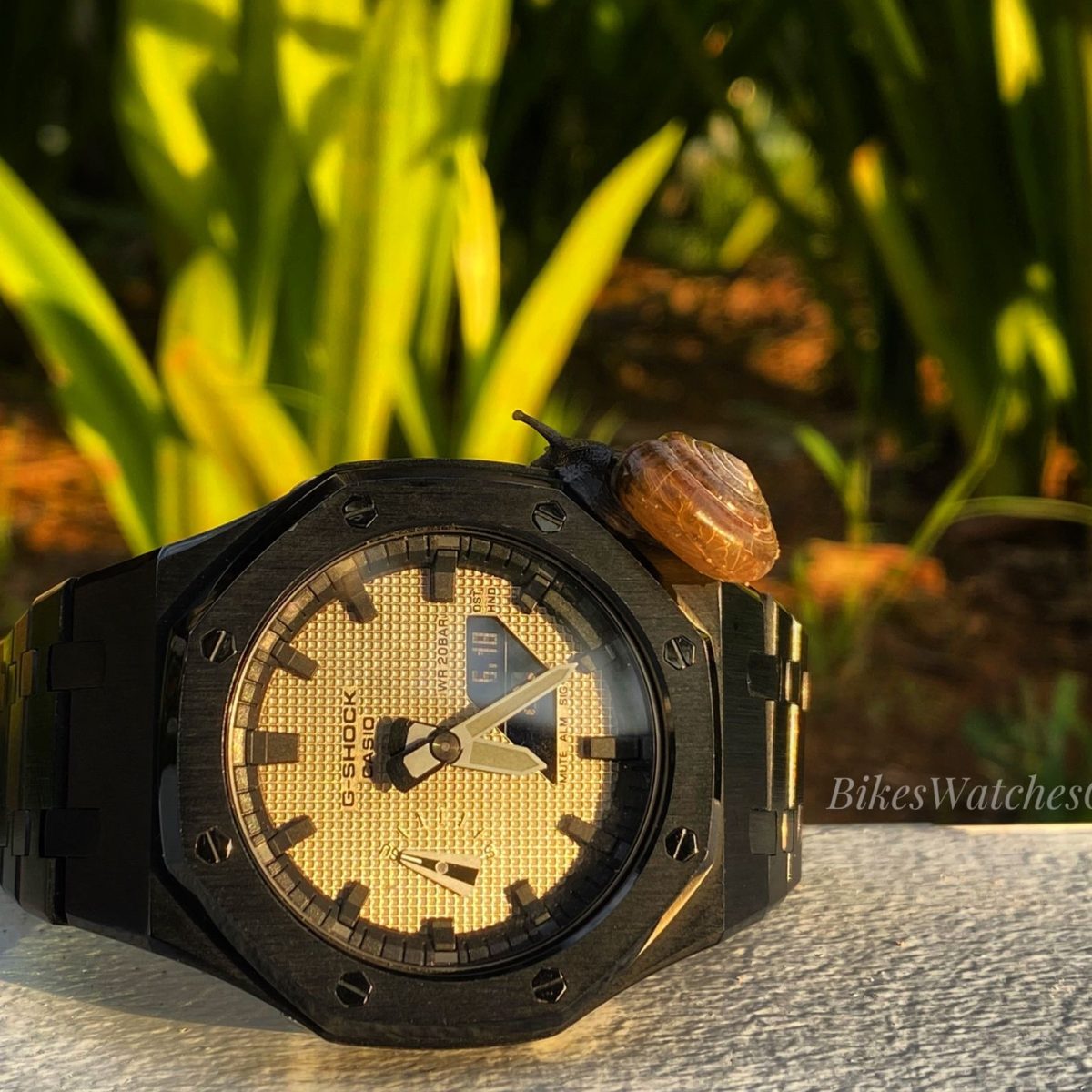 507abda7-c337-4435-8e21-1f288d677806